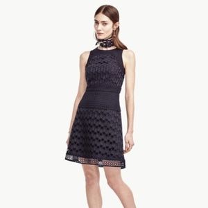 Ann Taylor Eye Dress